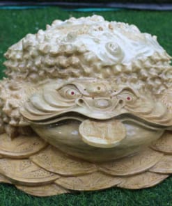 Cóc gỗ nu nghiến
