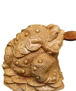 coc 3 chan ngang 40cm