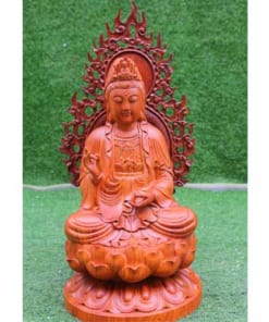 Bo Tat ngoi dai sen cao 50cm