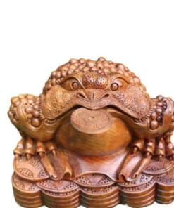 coc nho am Lao 35cm