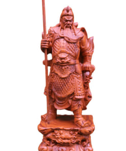 tuong quan vo thanh cao 50cm