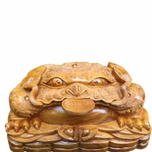 coc go ngoc am 50cm