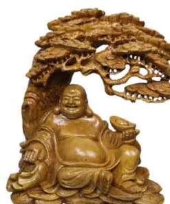 dl cay tung cam thoi vang