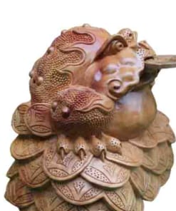 coc gu huong 50cm