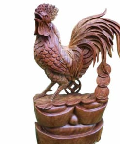 nhat ke go huong ta