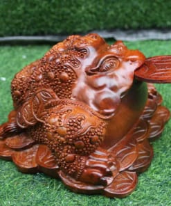 Cóc gỗ hương