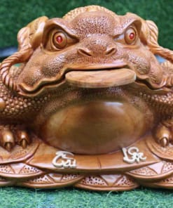 Cóc gỗ ngọc am