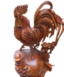 ga trong dung bao tien