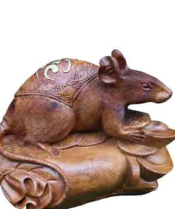 Chuột nằm bao tiền